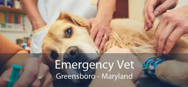 Emergency Vet Greensboro - Maryland