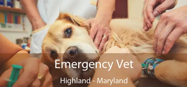 Emergency Vet Highland - Maryland