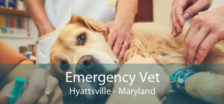 Emergency Vet Hyattsville - Maryland