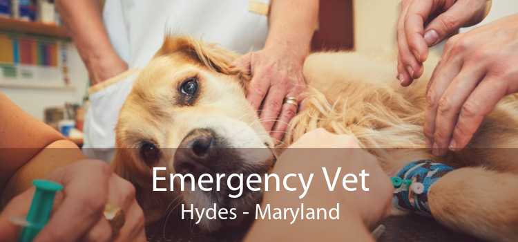 Emergency Vet Hydes - Maryland