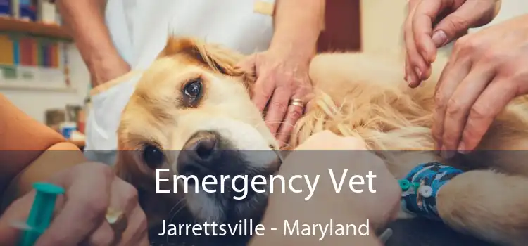 Emergency Vet Jarrettsville - Maryland