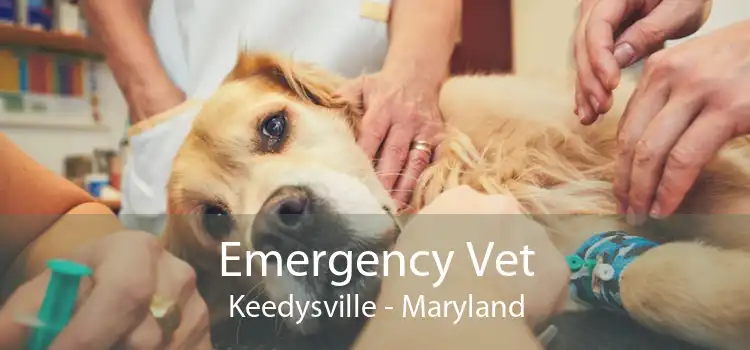 Emergency Vet Keedysville - Maryland
