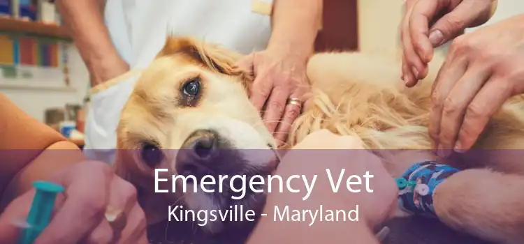 Emergency Vet Kingsville - Maryland