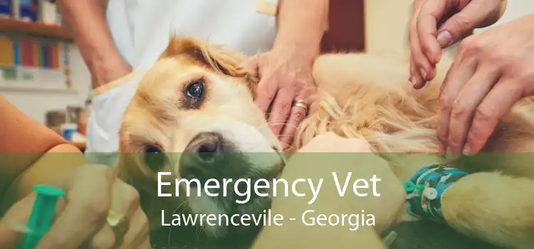 Emergency Vet Lawrencevile - Georgia