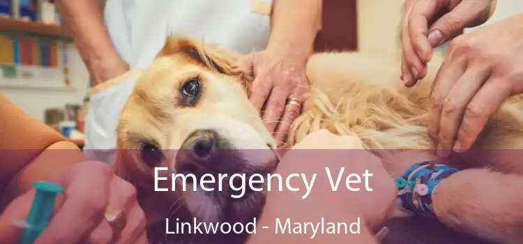 Emergency Vet Linkwood - Maryland