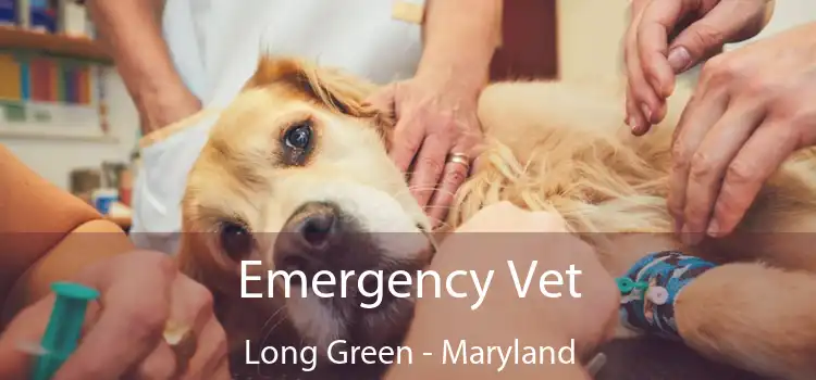 Emergency Vet Long Green - Maryland