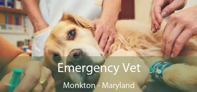 Emergency Vet Monkton - Maryland