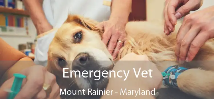 Emergency Vet Mount Rainier - Maryland