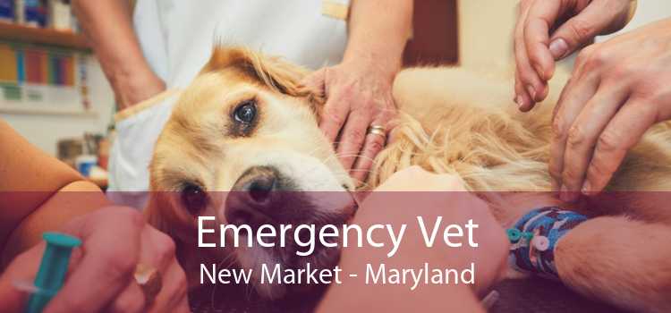 Emergency Vet New Market - Maryland