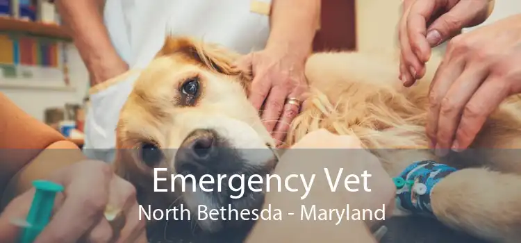 Emergency Vet North Bethesda - Maryland