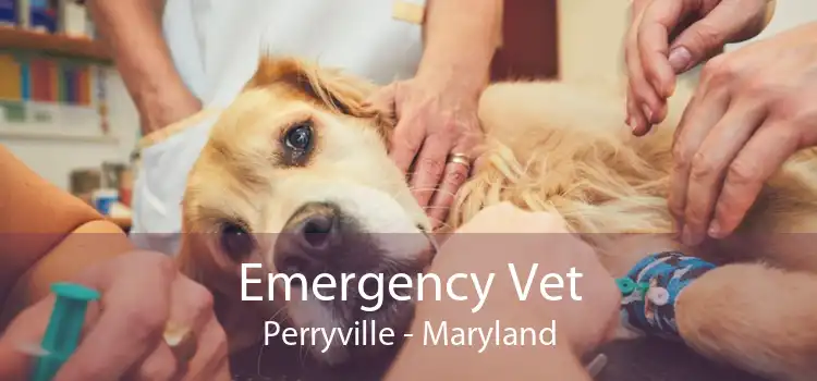 Emergency Vet Perryville - Maryland