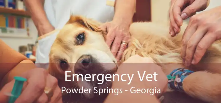 Emergency Vet Powder Springs - Georgia