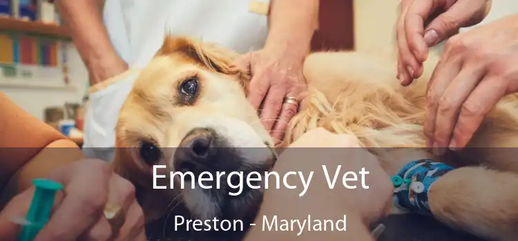 Emergency Vet Preston - Maryland