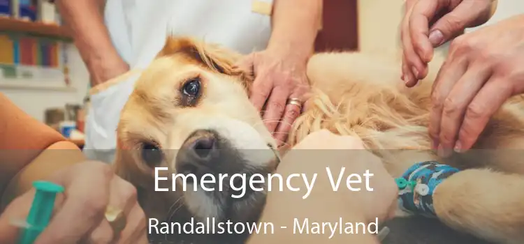 Emergency Vet Randallstown - Maryland