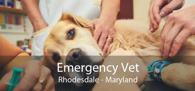 Emergency Vet Rhodesdale - Maryland