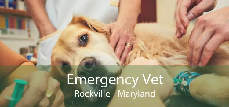 Emergency Vet Rockville - Maryland