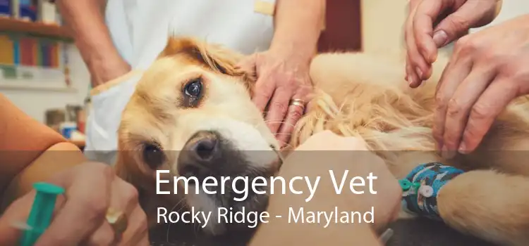Emergency Vet Rocky Ridge - Maryland