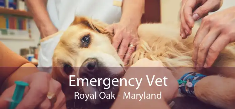 Emergency Vet Royal Oak - Maryland