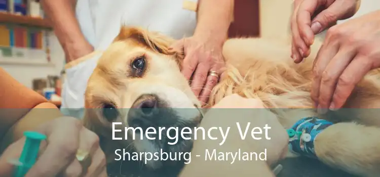 Emergency Vet Sharpsburg - Maryland