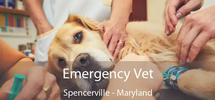 Emergency Vet Spencerville - Maryland