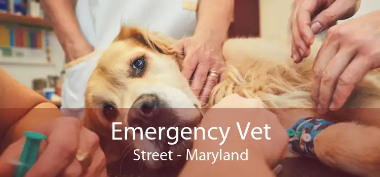 Emergency Vet Street - Maryland