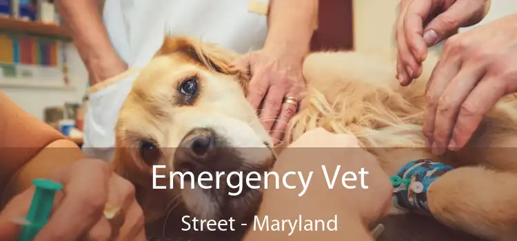 Emergency Vet Street - Maryland