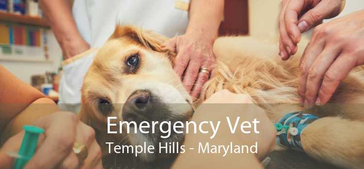 Emergency Vet Temple Hills - Maryland