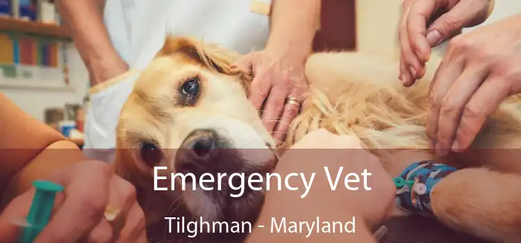 Emergency Vet Tilghman - Maryland