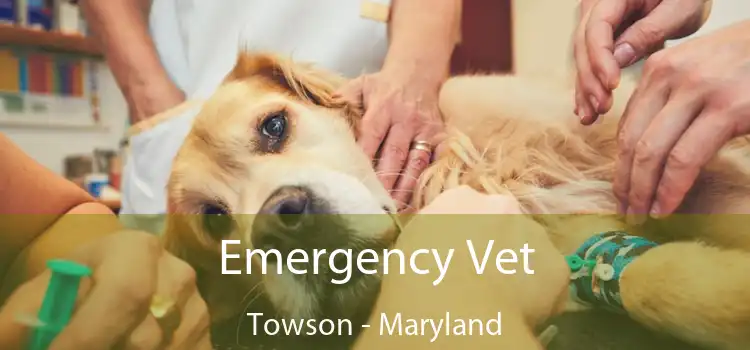 Emergency Vet Towson - Maryland