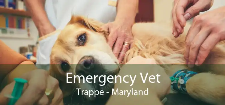 Emergency Vet Trappe - Maryland