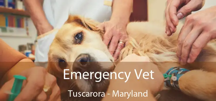 Emergency Vet Tuscarora - Maryland