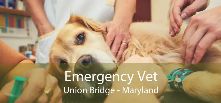 Emergency Vet Union Bridge - Maryland