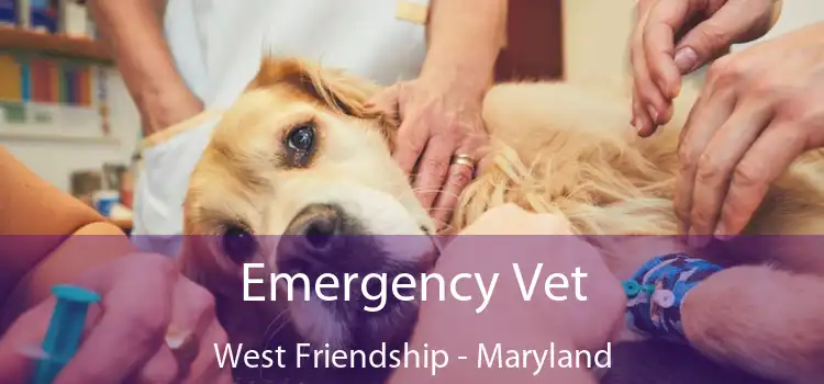 Emergency Vet West Friendship - Maryland