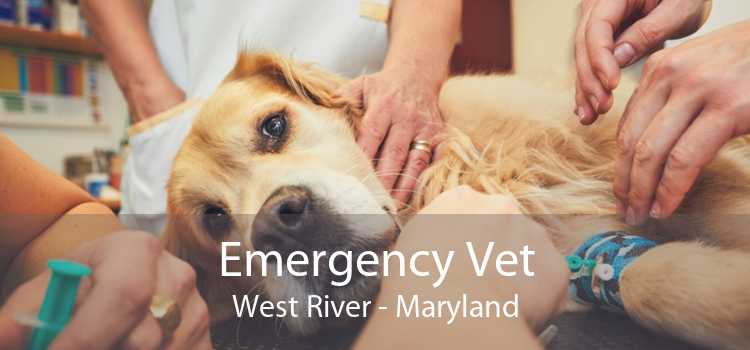 Emergency Vet West River - Maryland