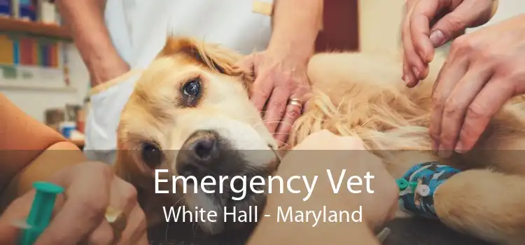 Emergency Vet White Hall - Maryland