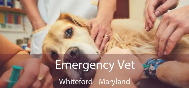 Emergency Vet Whiteford - Maryland