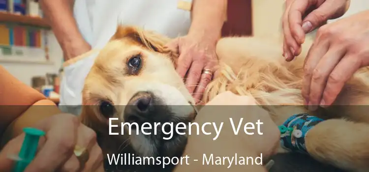 Emergency Vet Williamsport - Maryland