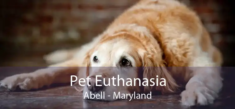 Pet Euthanasia Abell - Maryland