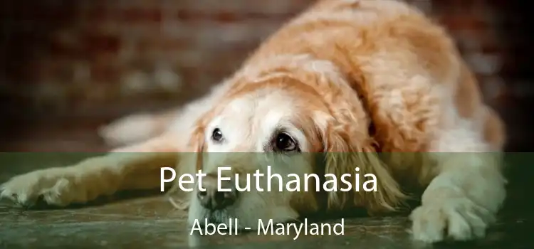 Pet Euthanasia Abell - Maryland