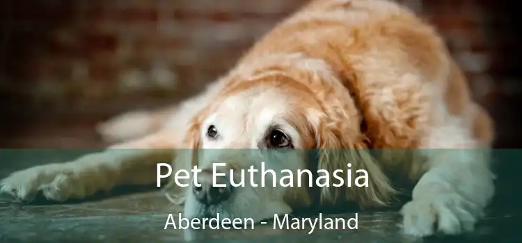 Pet Euthanasia Aberdeen - Maryland