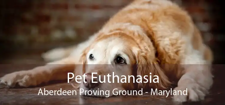 Pet Euthanasia Aberdeen Proving Ground - Maryland