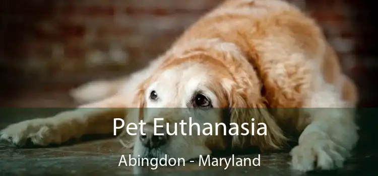 Pet Euthanasia Abingdon - Maryland