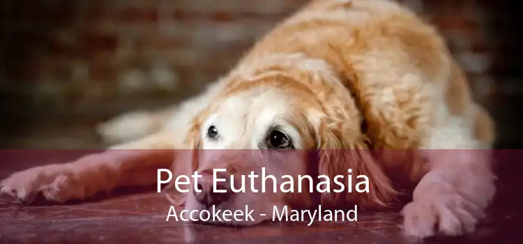Pet Euthanasia Accokeek - Maryland