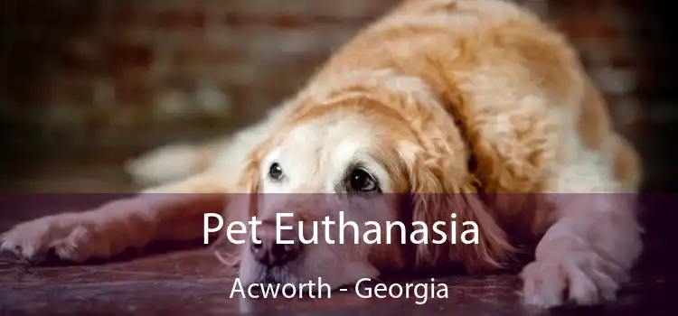 Pet Euthanasia Acworth - Georgia