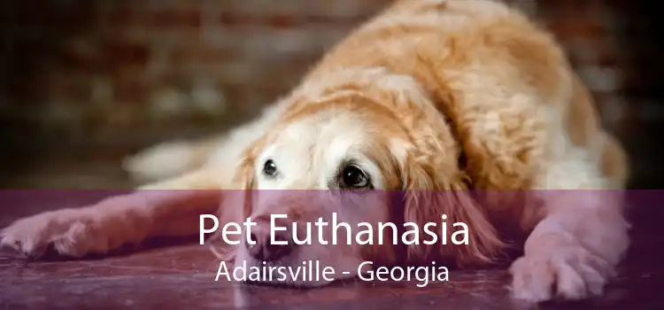 Pet Euthanasia Adairsville - Georgia