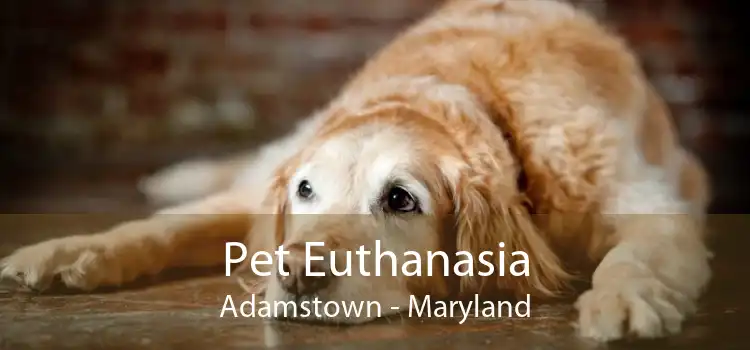 Pet Euthanasia Adamstown - Maryland