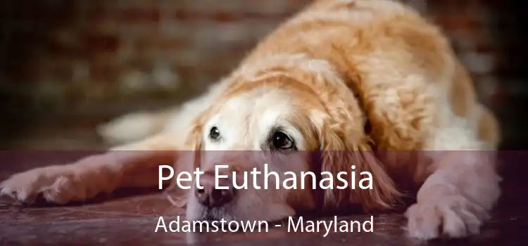 Pet Euthanasia Adamstown - Maryland