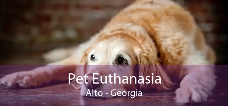 Pet Euthanasia Alto - Georgia