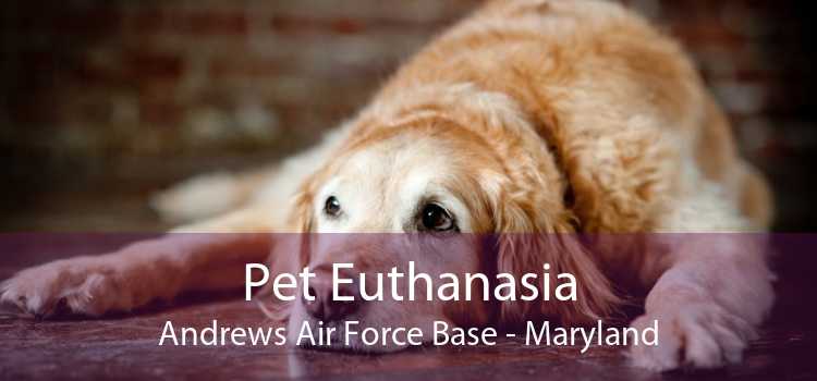 Pet Euthanasia Andrews Air Force Base - Maryland
