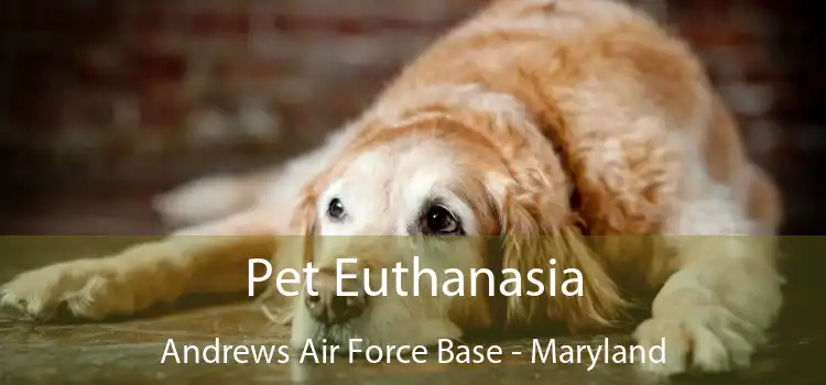 Pet Euthanasia Andrews Air Force Base - Maryland